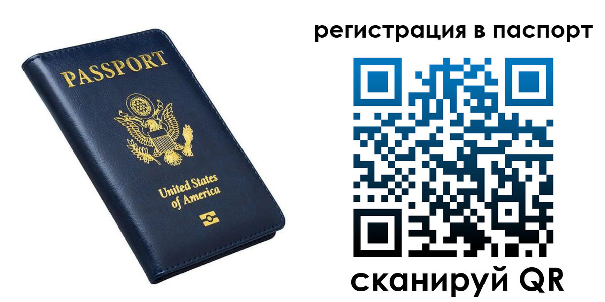 прописка в квартире в Ленинградской области